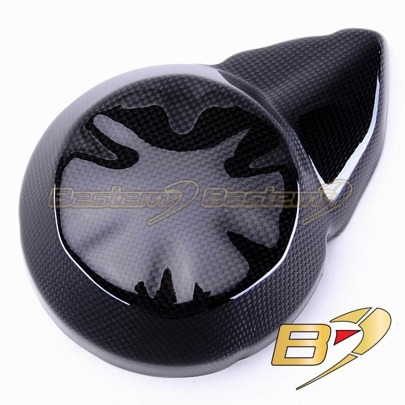 Z750 carbon fiber