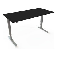 Stier Elektrisch HöHenverstellbarer Schreibtisch 501-43 160 X 80 Cm