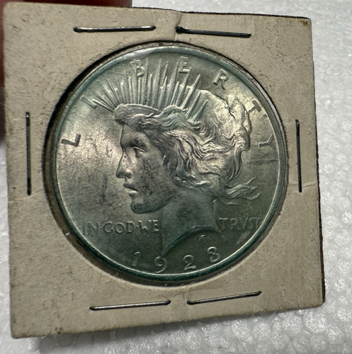 1923 Liberty Peace One Dollar Silver Coin US Treasury Eagle Protected Clean - Picture 14 of 16