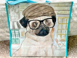 pug with hat