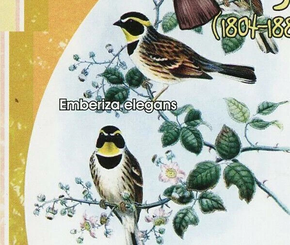 Estampilla de pájaro John Gould Emberiza Elegans Aquila Chrysaetos águila Argusianus Argus Foto 4 de 4