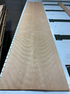 Figured European Beech Raw Wood Veneer 2 sheets 116'' x 10 1/2'' 231M