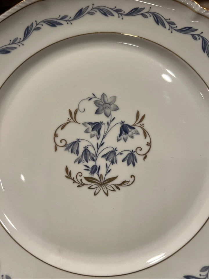 Plato de cena Royal Tettau, Alemania, zona de Estados Unidos, posterior a la Segunda Guerra Mundial, flores Bluebell, China Foto 2 de 4
