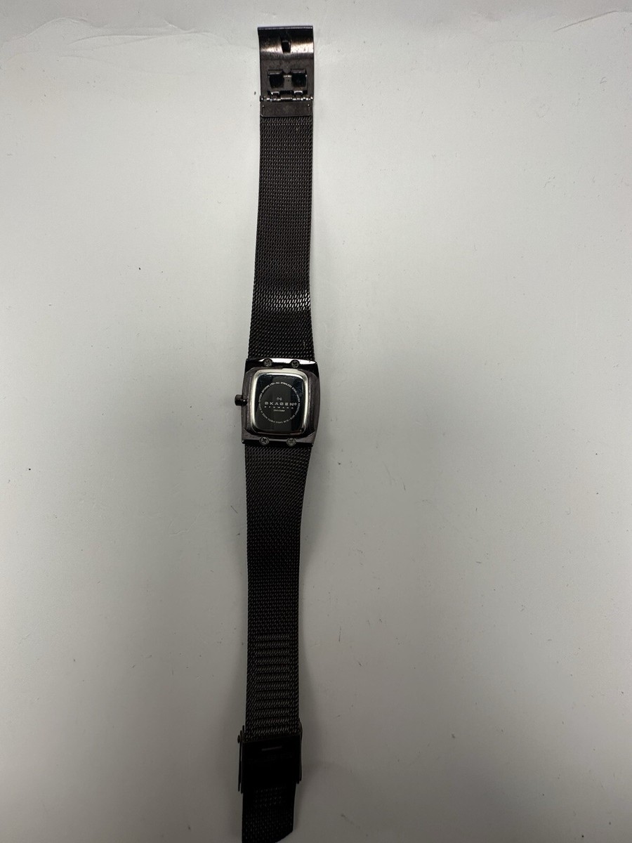 Skagen 384XSMM Ladies Watch New Battery 21MM 8\