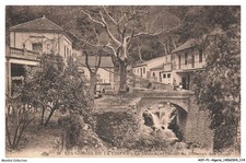 AOYP1-0058-ALGERIE - Die Schlucht Der Chifa - La Cascade Und Rathaus Du Ruissea