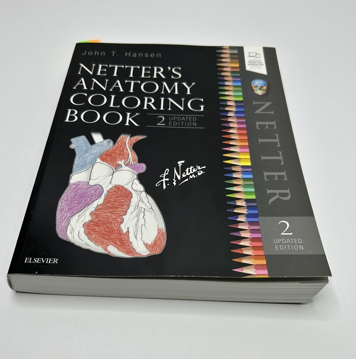 Netter's Anatomy Coloring Book Updated 2nd Edition by John T