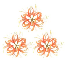 Artificial Flower Heads 7 Inch, Orange 3 PCS - Spider Lily Silk Flowers