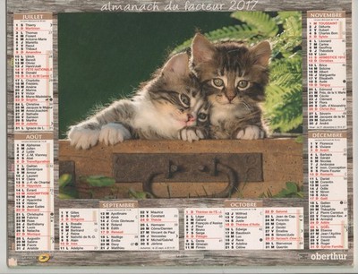 2017 - POST CALENDAR - MEUSE 55 ALMANAC - CAT - KITTEN - Vintage