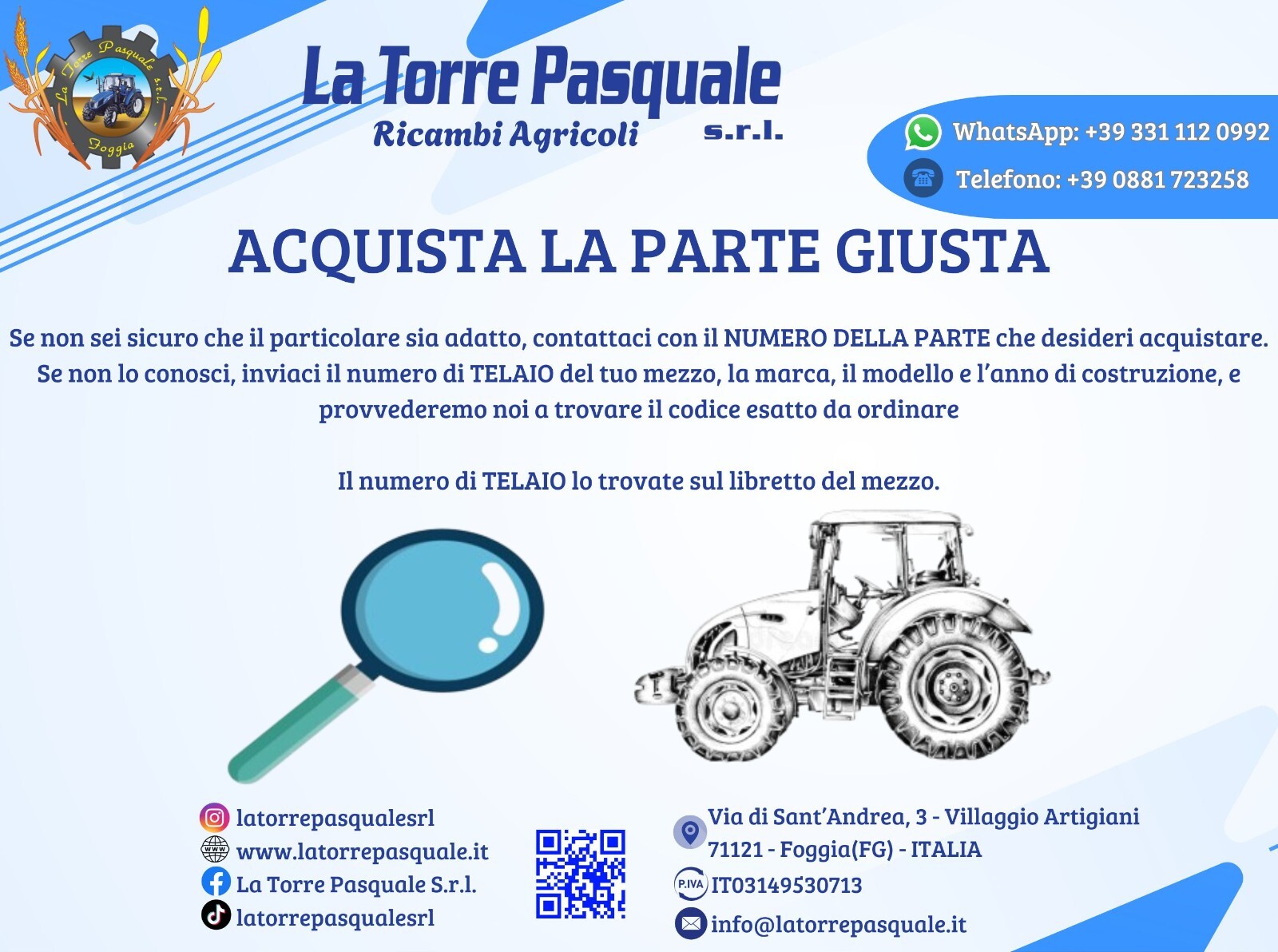 Imagen 8 de 10