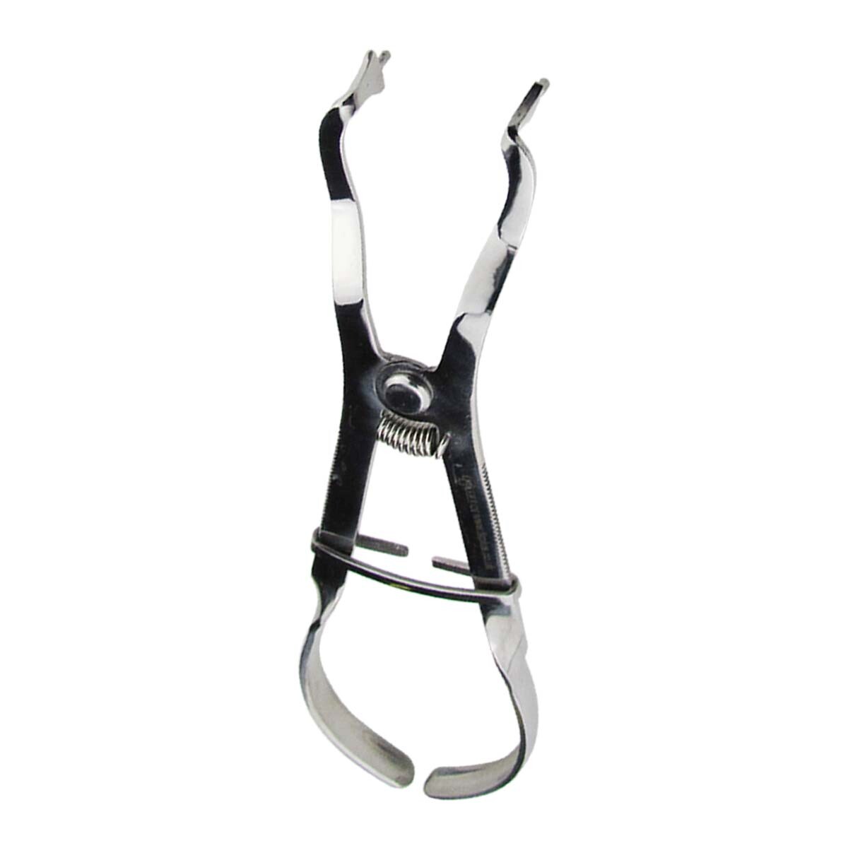 Pinces à Perforer La Digue Dentaire Ivory Lightweight - Instruments En Acier Inoxydable