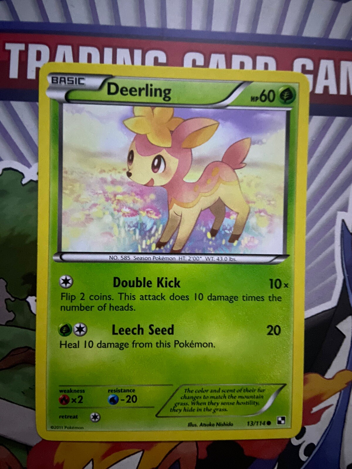 Pokémon TCG - Black & White - Deerling - 13/114