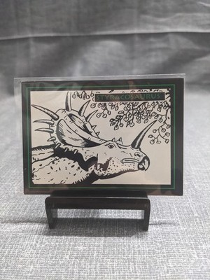 1993 Acid Rain Studios Dinosaur Terror #10A Styracosaurus (Plant Eater) Card