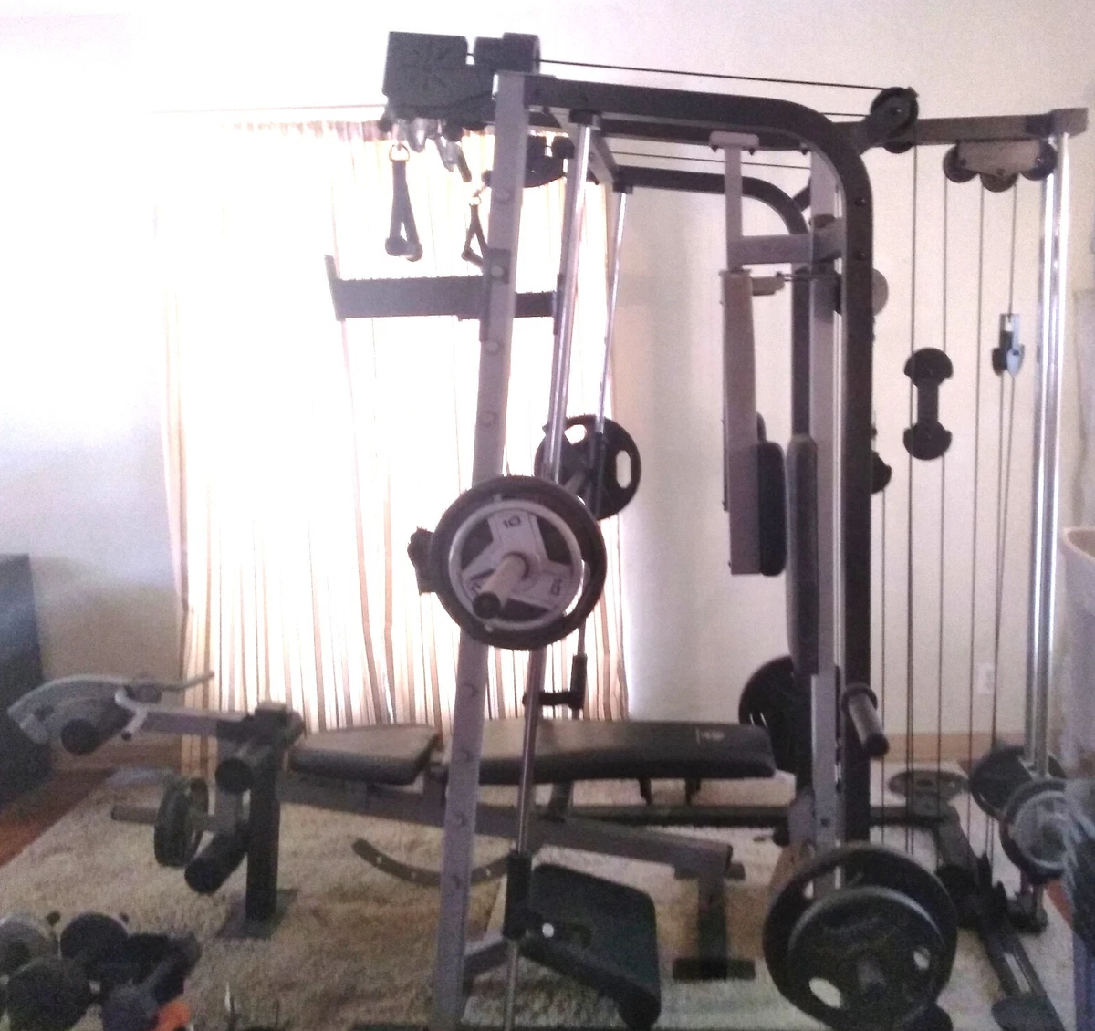BULL・SBD ・EVERLIFT 新品&USEDセット golds gym Gold's Gym Gym & Training Arm Curl Strength Training Home Gyms for