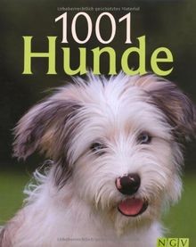 1001 Hunde von Dr. Beate Ralston, Jennifer Willms | Buch | Zustand gut