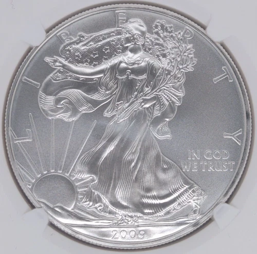 2009 American Silver Eagle NGC MS 69 Brown Label $1 1oz Coin (JW16)