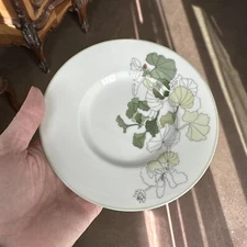 Block Spal Watercolors Geranium Saucer Mary Lou Goertzen 1981 EUC