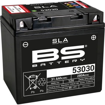 BS BATTERY SLA Factory-Activated AGM Maintenance-Free Batteries 300880