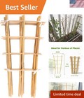Natural Bamboo Trellis Set, 10 Pack 16" Climbing Plant Support for Potted Decor