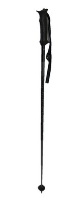 1 Stück Salomon Unisex-Adult Polar Access Alpine Pole, Black, 120
