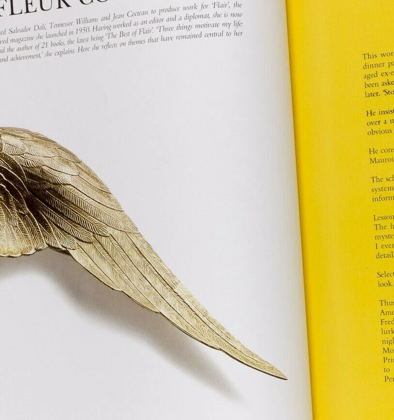 SOTTSASS Gruau BRUCE WEBER Vivienne Westwood GALLIANO Hockney UK Interior Worlds - Image 4 of 4