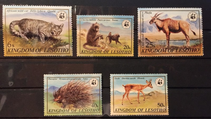 Lesotho,baboon S.C.#351-55 s.c.v.$28+ MNH WWF,Complete set of 5 as issued in 82