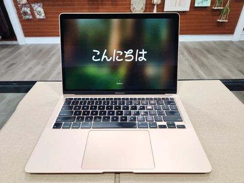 2020 Apple MacBook Air 13" (Intel 10th Gen, 8GB RAM, 256GB SSD) MWTL2LL/A - READ