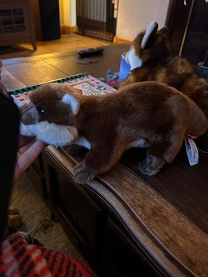 Adventure Planet Brown 10'' River Otter Plush Stuffed Animal