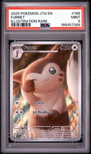 Furret graded PSA 9 for sale on eBay