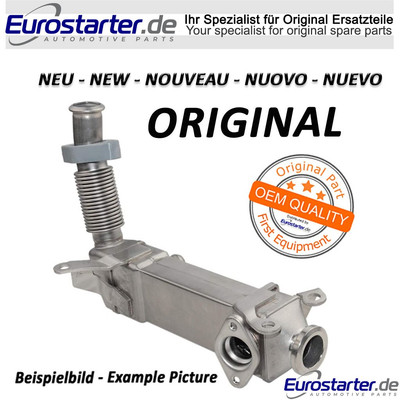 Kühler Abgasrückführung Neu Original BorgWarner 147355713R für Renault Nissa