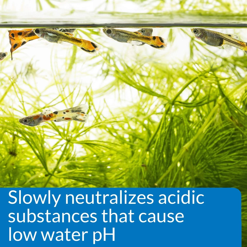 Api Ph Up Freshwater Aquarium Water Ph Raising Solution 1.25 Oz Safe For Fish - Image 4 of 4