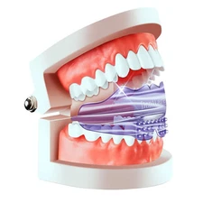 Adult Dental Retainers - Teeth Alignment & Night Guards for Grinding Protection+