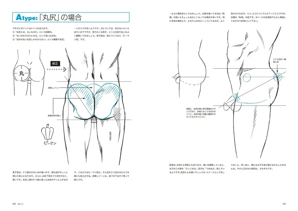 Japan NEW How to Draw Men's Buttocks Book by Chikarainu Sensei 64 Pages B5 Size - Image 4 of 4