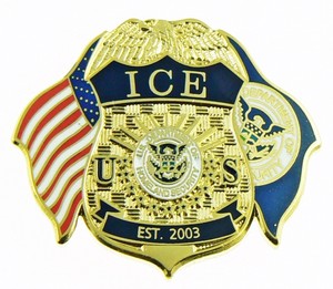 Immigration-and-Customs-Enforcement-Mini-Badge-and-Flags-Lapel-Pin