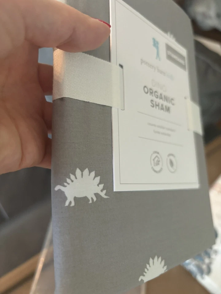 Disney pottery barn Pillow Sham dinosaur school boy Jurassic party star boy - - Image 2 of 4