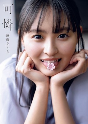 Nogizaka46 Endo Sakura 1st Photo Album Karen book form JP