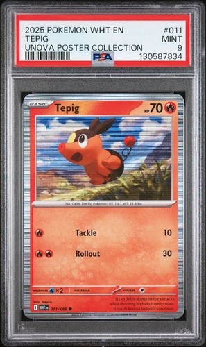 Tepig graded PSA 9 for sale on eBay