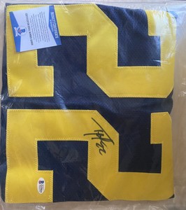 ty law michigan jersey