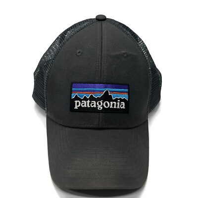Patagonia P-6 Logo LoPro Trucker Cap Adjustable Snapback Mesh Back