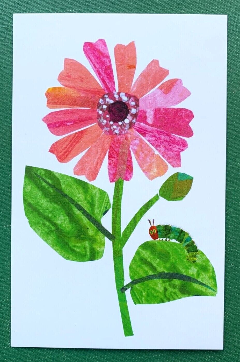 Foto 17 di 81