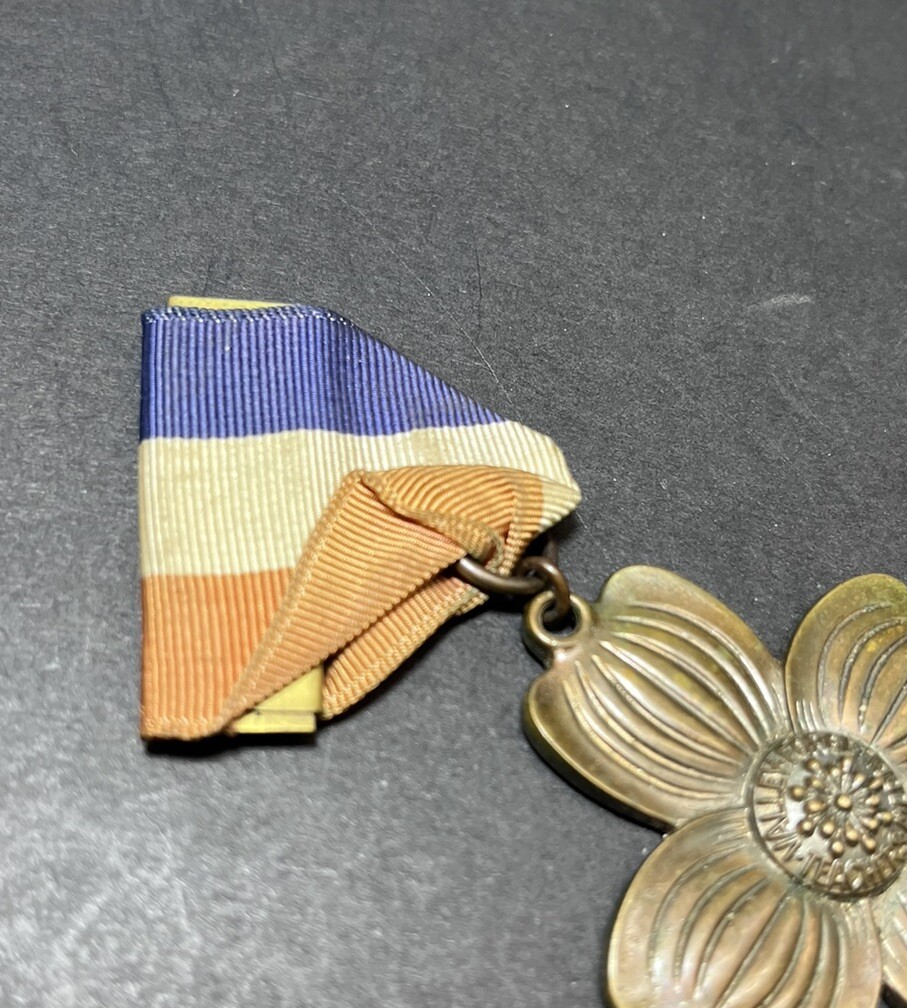Picture 6 of 10