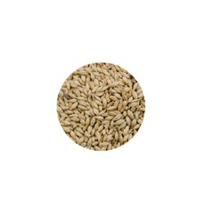 Dr Greenthumbs Malted Barley - 400G / 1KG / 2.5KG | Organic