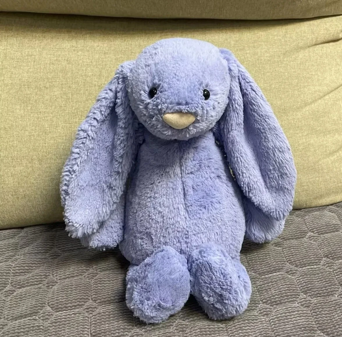 Jellycat 邦尼兔| eBay Jellycat 邦尼兔| eBay