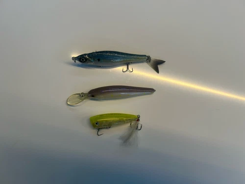 Tater Hog Hard Fluke Lure Shad, Rico Topwater chart. Lucky Craft Lavender Jerk