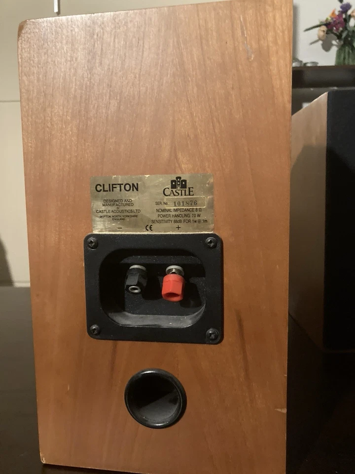 Casse acustiche Castle modello Clifton fine anni 90 - Immagine 4 di 4