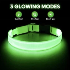Illumifun LED Dog Collar, USB Rechargeable Light Up  Large Sizes , Colors