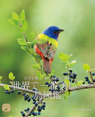 The World's Most Beautiful Birds: Flying in the Sky, Standing in the Trees