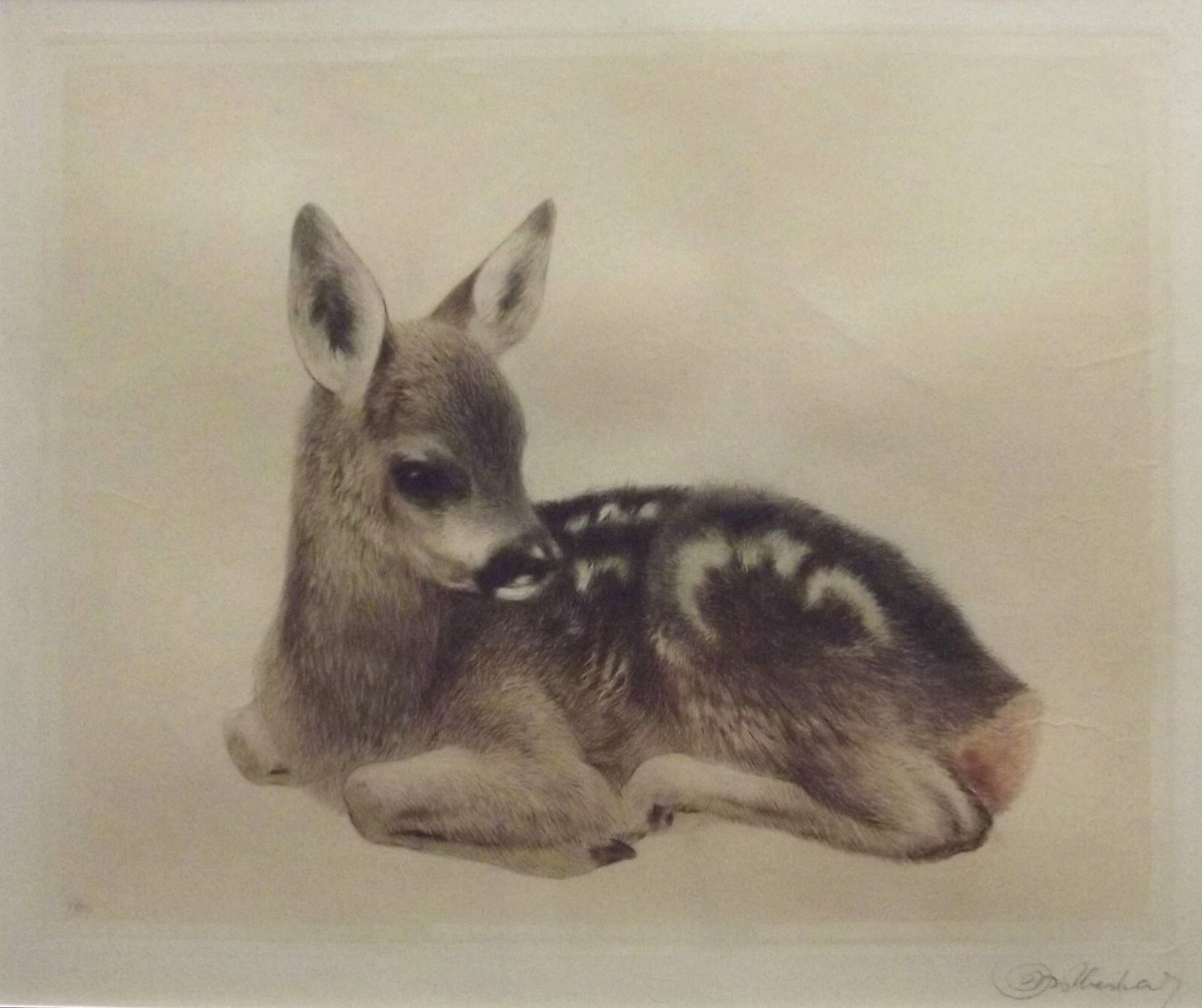 『2匹のテリア犬』ヴィンテージ銅版画 Kurt Meyer Eberhardt Lot - Curt Meyer-Eberhardt (German 1895 - 1977): Two Terriers