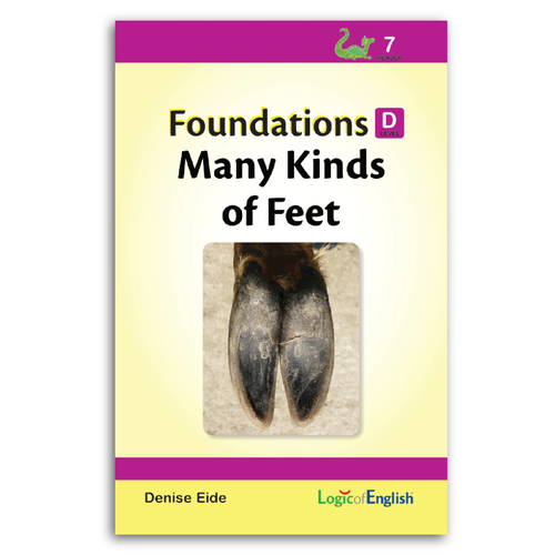 Foundations D Readers - Paperback By Denise Eide - EXCELLENT - Picture 8 of 9