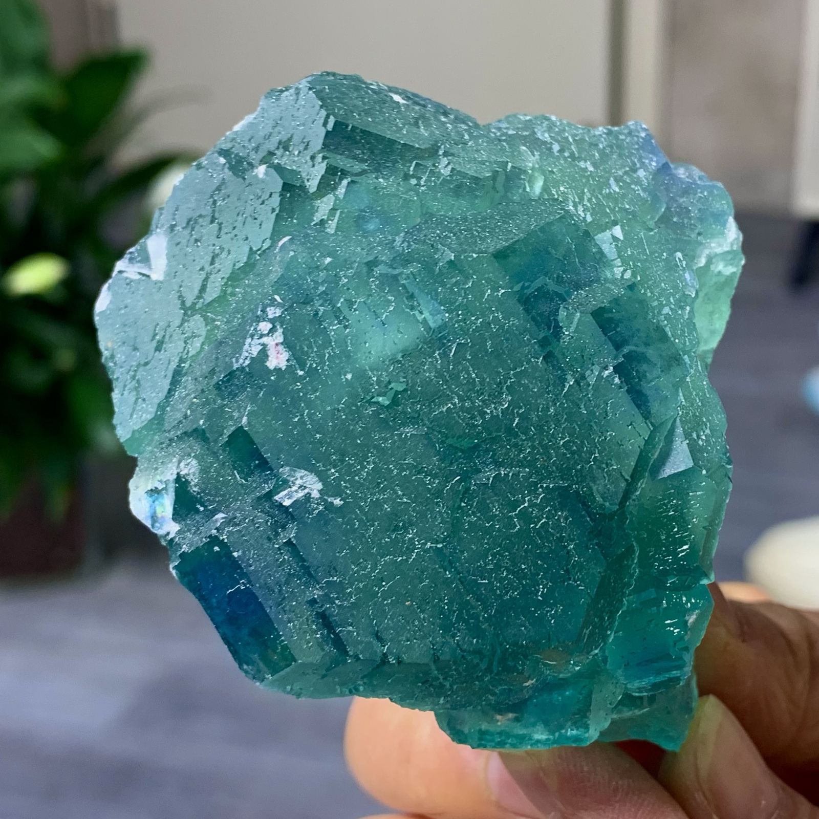 305G Rare Transparent Green Cube Fluorite Crystal Specimen from China