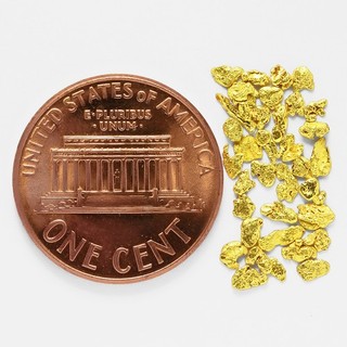 0.6321 Gram Alaska Natural Gold Nuggets (#80924 14) Alaskan Gold Nuggets